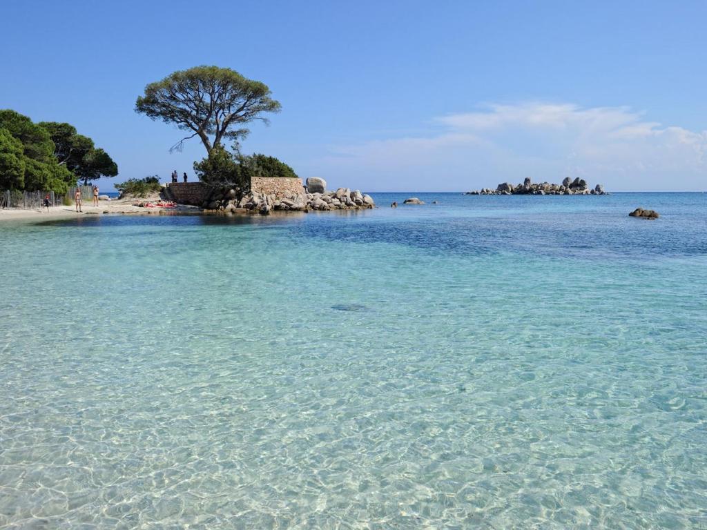 Private Hotel - Adult Only Porto-Vecchio  Exteriör bild