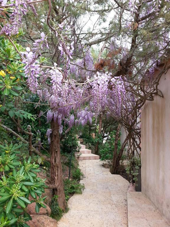 Private Hotel - Adult Only Porto-Vecchio  Rum bild